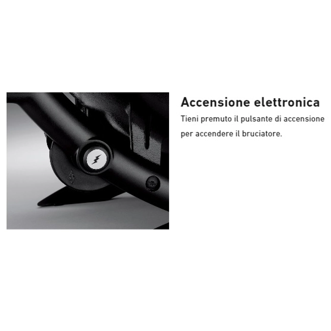Vendita online Barbecue a gas Weber Q 2200 con supporto black
